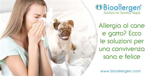 Allergia Al Cane E Al Gatto Come Si Manifesta E Quali Sono Le Soluzioni