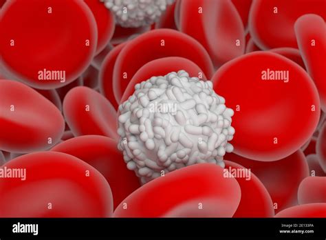 Red And White Blood Cell In The Human System 3d Illustration Close Up