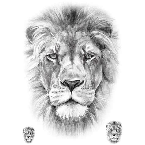 Tatouage Ephemere Lion Réaliste Pack Tatooshop Tete De Lion