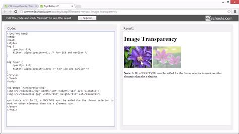 W3schools Css Image Transparency Tutorial 2 Youtube