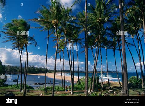 Wailua Beach Kauai Hawaii Stock Photo Royalty Free Image 9099368 Alamy