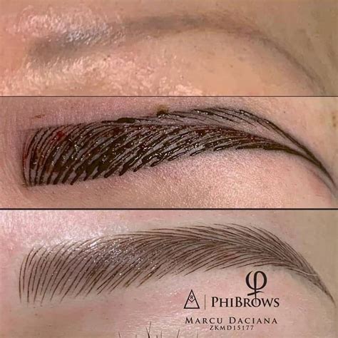 The Power Of PhiBrows Microblading Eyebrows Microblading Permanent Makeup Eyebrows