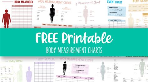 Body Measurement Charts Free Printables Printabulls Body