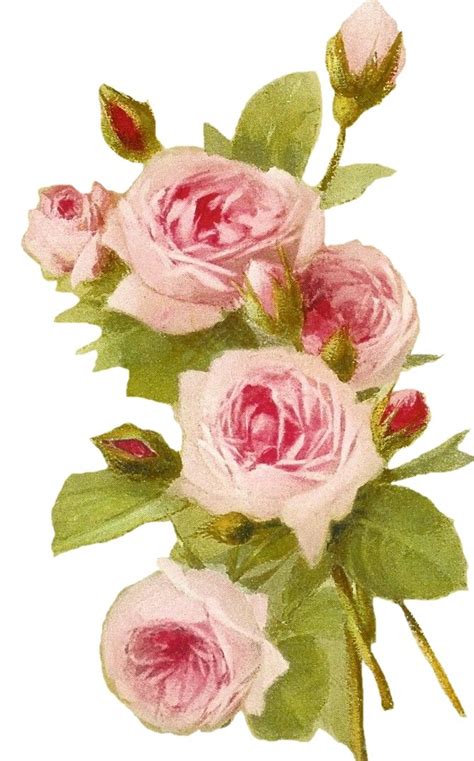 Sweetly Scrapped Free Vintage Roses Vintage Roses Vintage Flowers