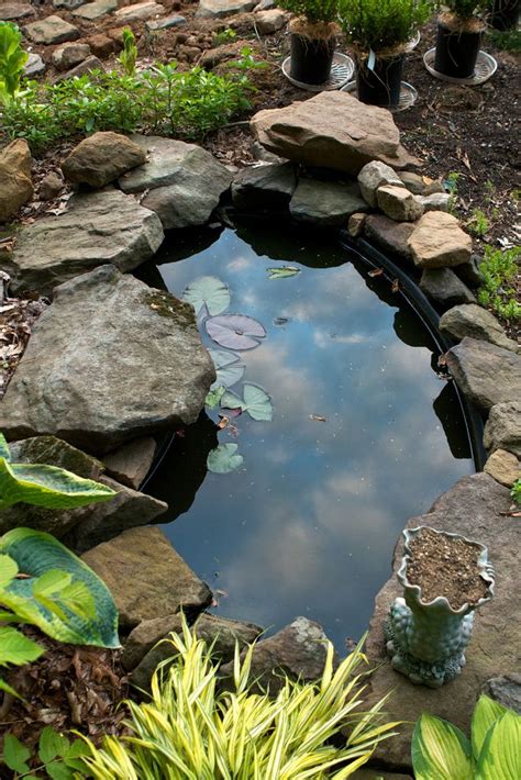 Im Truly Enjoying The Small Garden Pond We Installed Last Year Its