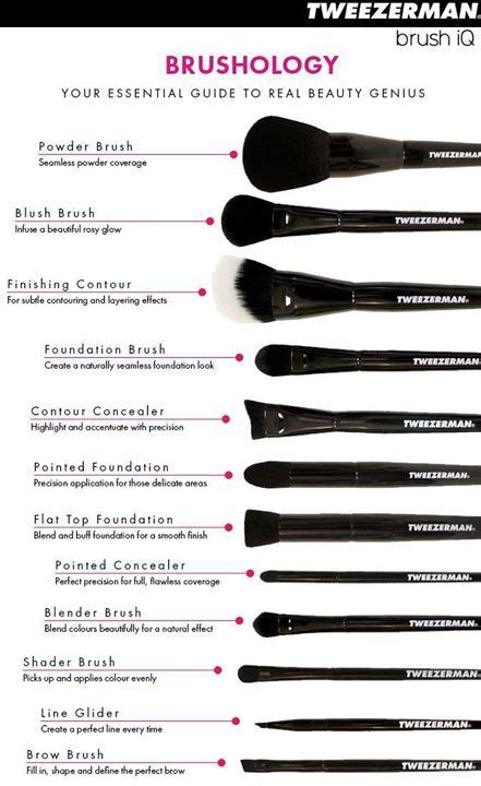 makeup brush shapes explained diy makeup brush eye makeup brushes makeup brush set