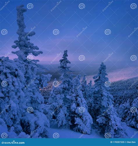Ural Lapland Stock Image Image Of Trees Mountain 170207335