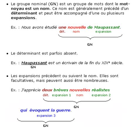 Le groupe nominal  Maxicours