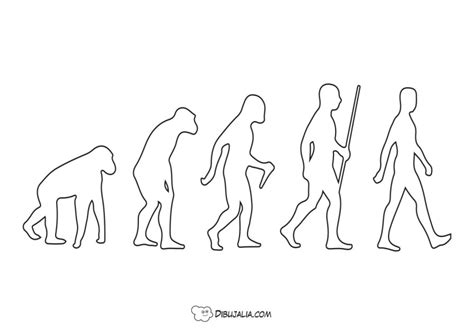Evoluci N De Los Humanos Dibujo Dibujalia Dibujos Para