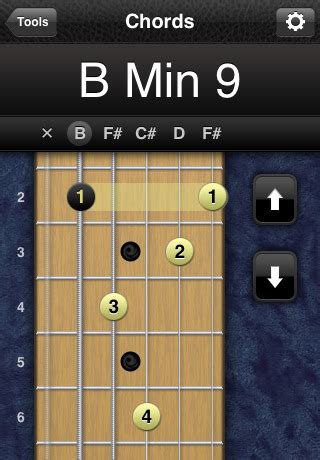There are those for deciphering the chord progressions of your favorite hit songs, and my favorite chord app for iphone or ipad is without doubt chord!, from thomas grapperon. Planet Waves Guitar Tools - iPhone Audio App | Pro Audio ...