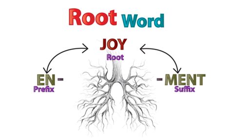 Root Words Prefixes And Suffixes Root Words Wced Eportal