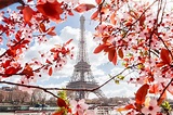 Photographier le printemps à Paris - Loic Lagarde