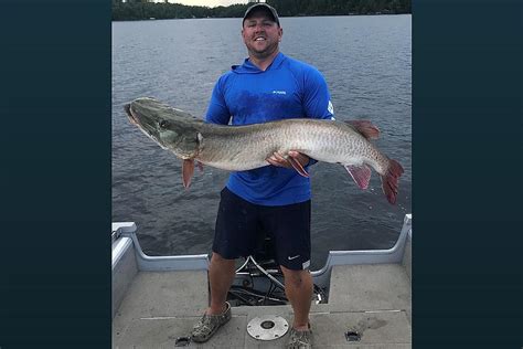 Dnr New Record For Catch And Release Muskie