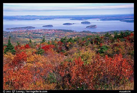 Fall Foliage In Acadia National Park A Leaf Peepers Delight