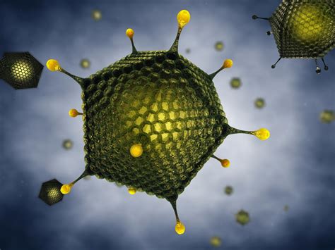 Hodge overview in the 1950s a novel group of viral agents that were associated with respiratory ailments in humans were discovered. Deep splicing plasticity of the human adenovirus type 5 ...