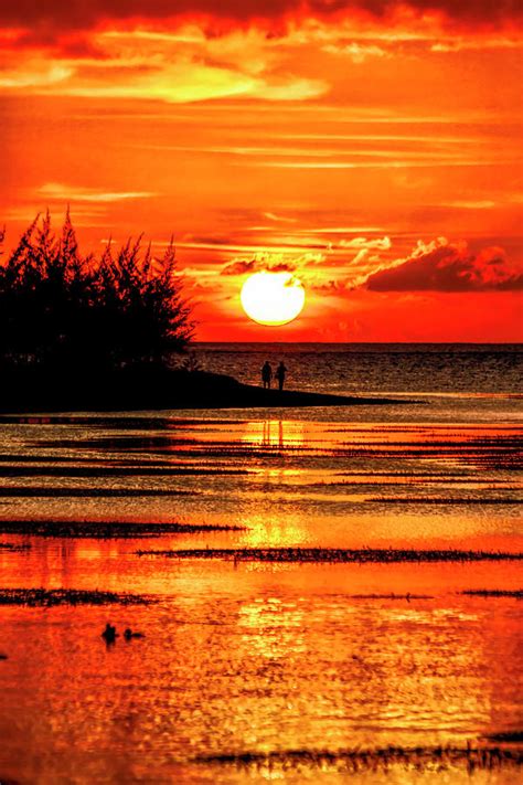 Sunset Stroll At Golden Hour Digital Art By Leslie Ware Pixels