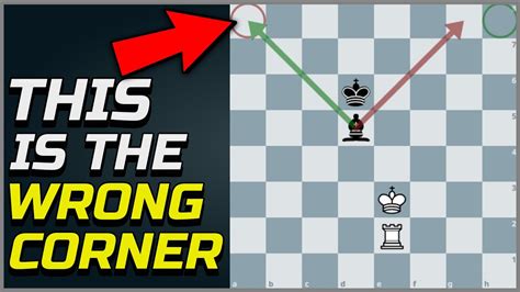 How To Win Or Draw With Rook Against Bishop Chess Endgame King