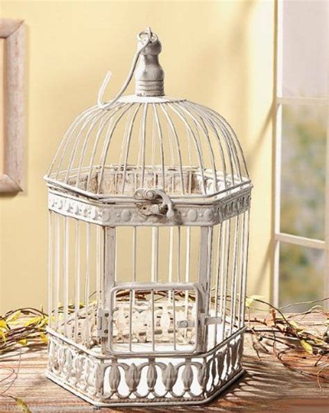 Shop for decorative bird cages online at target. Off White Metal Decorative Bird Cage With Hinged Door ...