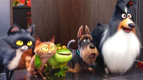 Secret Life of Pets, an animated comedy about the lives our pets lead after we leave for work or ...