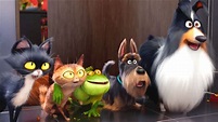Secret Life of Pets, an animated comedy about the lives our pets lead ...
