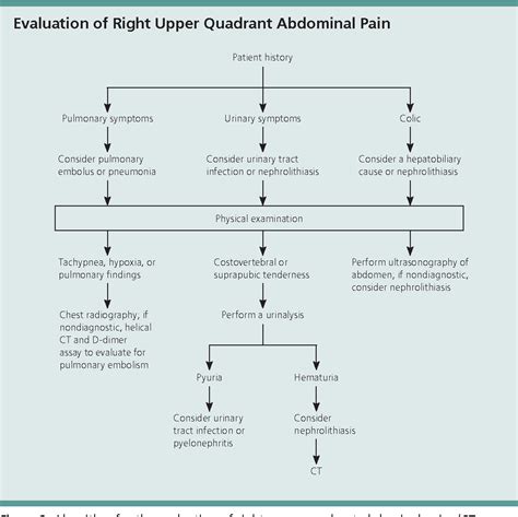 Evaluation Of Acute Abdominal Pain In Adults Semantic