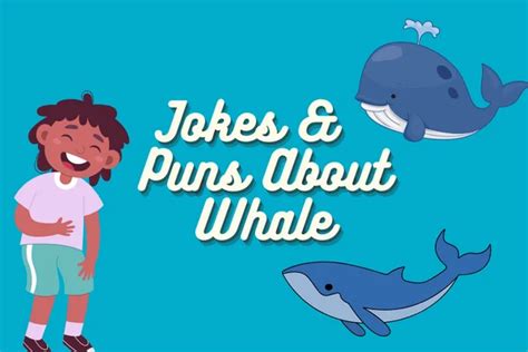 80 Funny Whale Jokes Funnpedia