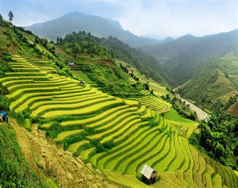 Paddy Fields Vietnam 83 Unreal Places You Thought Only Existed In Your Imagination Popsugar