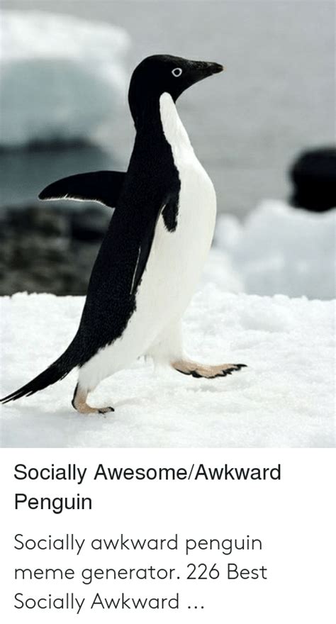 O Socially Awesomeawkward Penguin Socially Awkward Penguin Meme