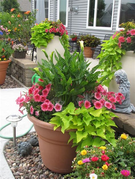 I would love a flowering vine, but it's not absolutely necessary. Container gardening... | Container flowers, Container ...