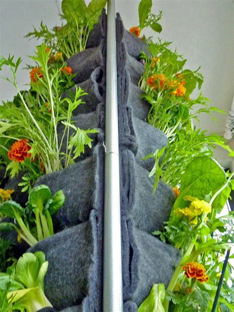 Florafelt Aquaponic Vertical Vegetable Garden Plants On Walls
