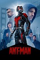 🥇🥇 Ant-Man (2015) HD 1080p Dual Latino e Inglés Por MEGA