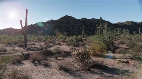 Zillow has 9 homes for sale in phoenix az matching whole foods. Arizona | Love Local | Whole Foods Market | Whole food ...