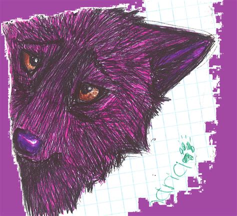 Purple Wolf By Marcymarcywolf9 On Deviantart