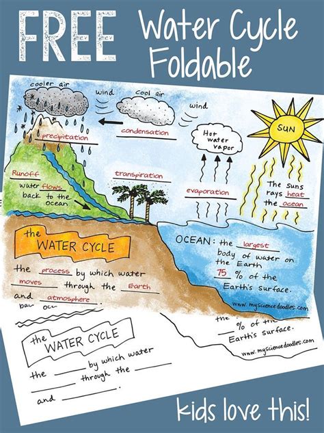 Water Cycle For 5th Graders