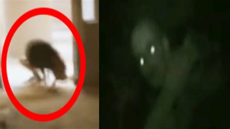5 Scariest Creatures Caught On Camera Youtube