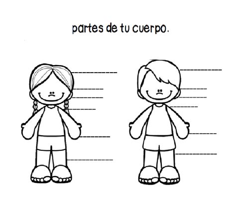 Partes Del Cuerpo