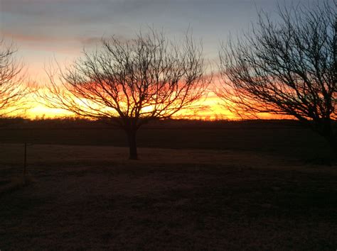Oklahoma sunsets are spectacular! | Oklahoma sunsets, Sunset, Celestial