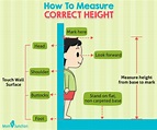 How To Calculate My Height At Home - Haiper