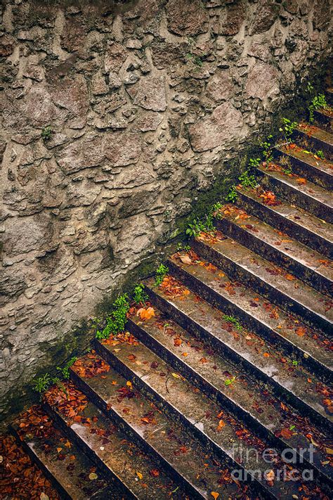 Fall Stairway Photograph By Carlos Caetano Fine Art America