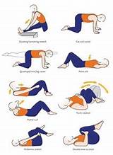 Images of Muscle Strengthening For Lower Back