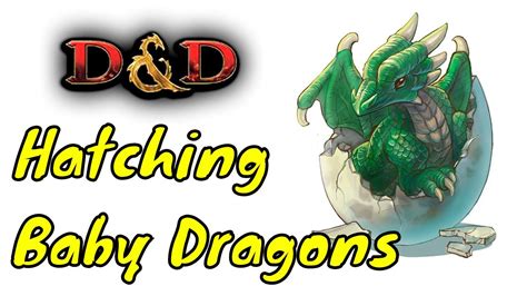 Hatching A Baby Dragon Dungeons And Dragons 5e Edited Youtube
