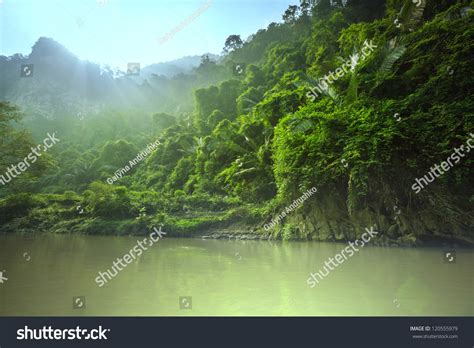 jungle-vietnam-stock-photo-120555979-shutterstock