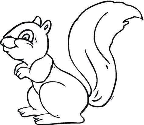 Squirrel Outline Coloring Page Coloring Pages