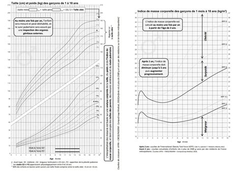 Courbes De Croissance Poids Taille Quels Sont Les Rep Res