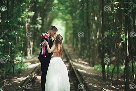 Romantic Newlywed Couple Kissing In Pine Tree Forest Stock Photo