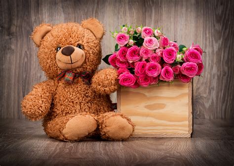 Cute Teddy Bear Wallpaper With Pink Roses In Box Hd Wallpapers