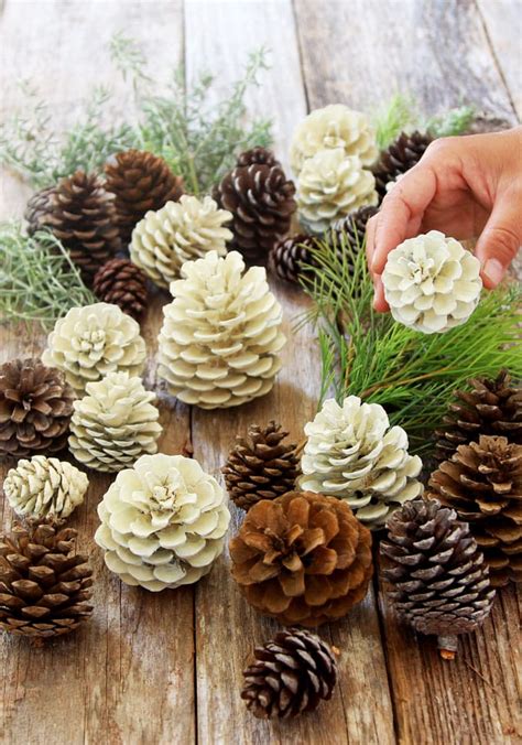 Easiest 5 Minute Bleached Pinecones Without Bleach A Piece Of Rainbow