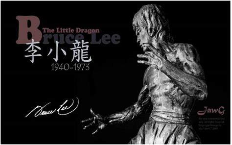 Bruce Lee Flex Poster For Room Mo 922 Photographic Paper