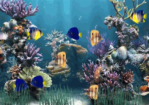 49 Animated Fish Tank Desktop Wallpaper Wallpapersafari