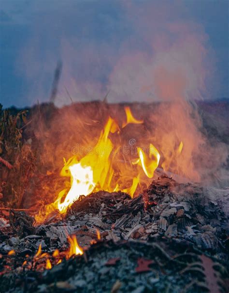 Wildfires In Nature Smoke And Flames From A Fire In Front Of The Blue